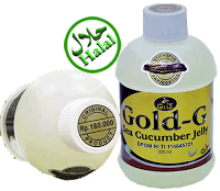 Obat Tradisional Maag | GOL-B 085323799454 Gold-g-halal